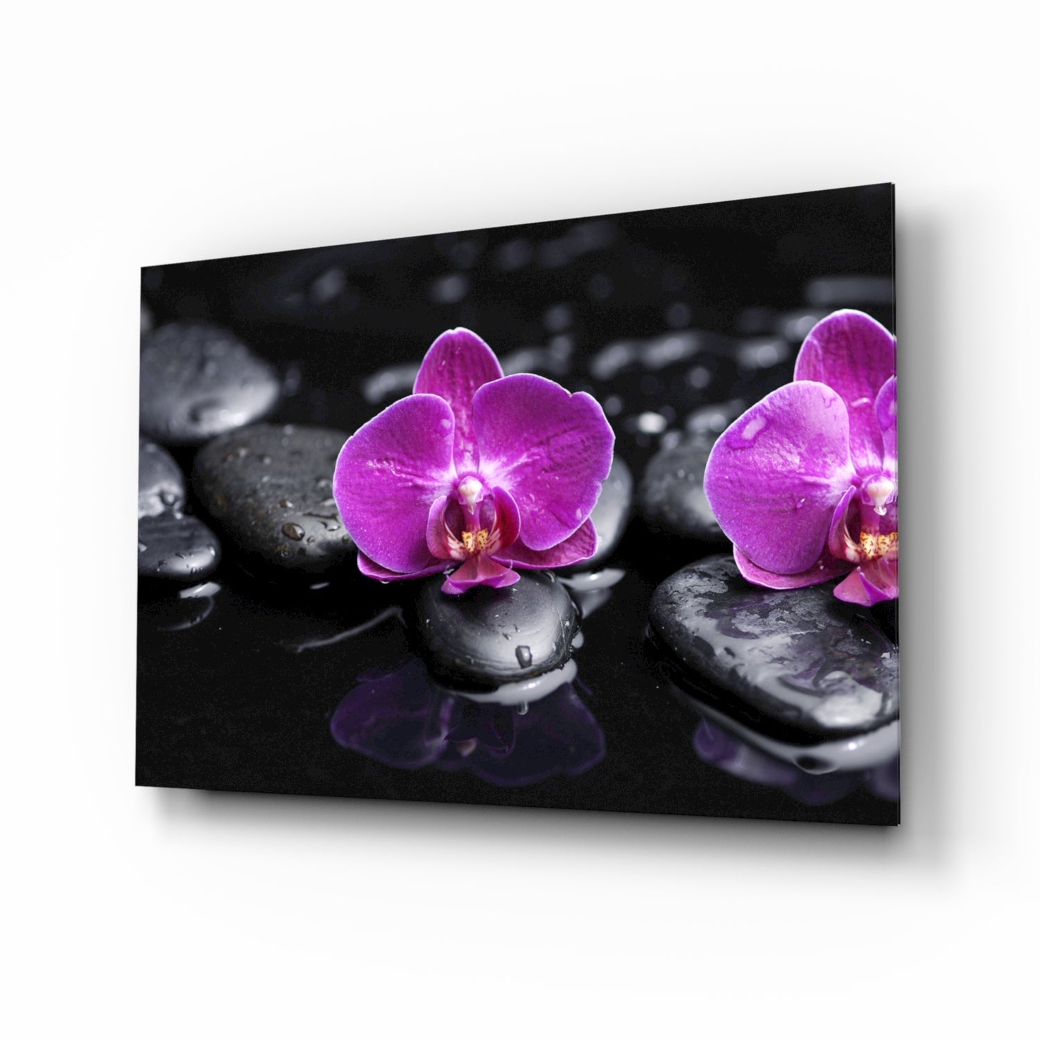 Magenta Orchids On Wet Zen Stones Glass Wall Art
