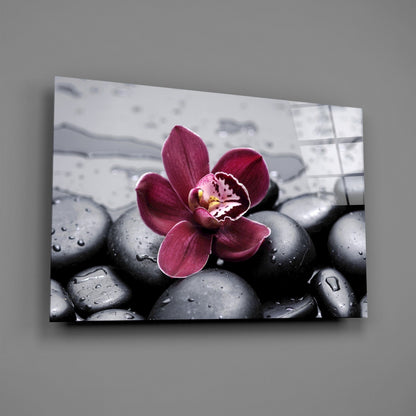 Burgundy Orchid Gray Pebbles Glass Wall Art
