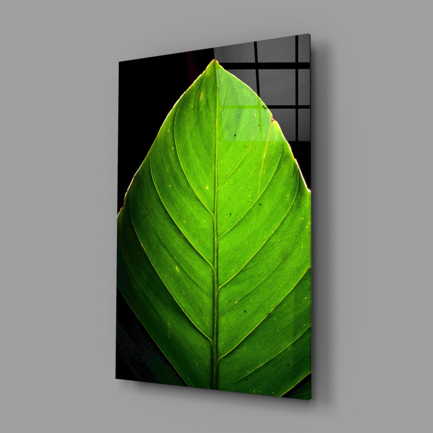 Sunlit Green Leaf Tip on Black Glass Wall Art