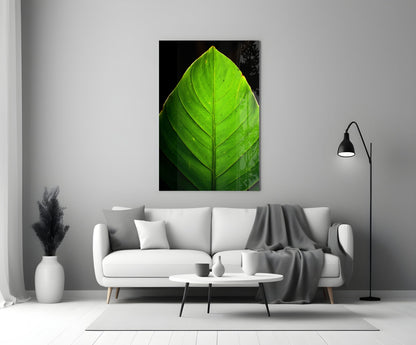 Sunlit Green Leaf Tip on Black Glass Wall Art