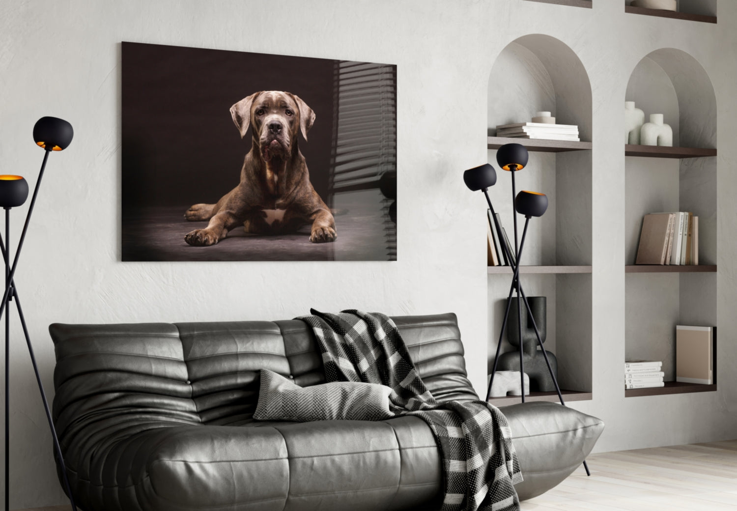 Cane Corso Studio Portrait Glass Wall Art