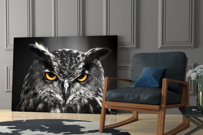 Horned Owl Orange Eyes Glass Wall Art
