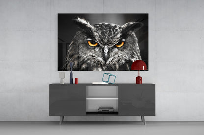 Horned Owl Orange Eyes Glass Wall Art
