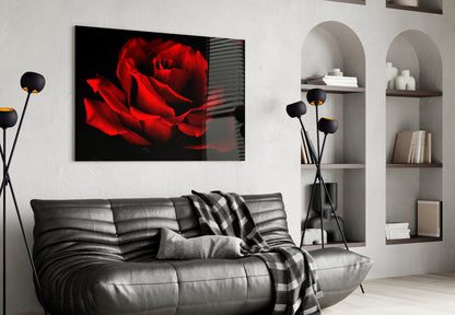 Dark Velvet Red Rose Petals Glass Wall Art