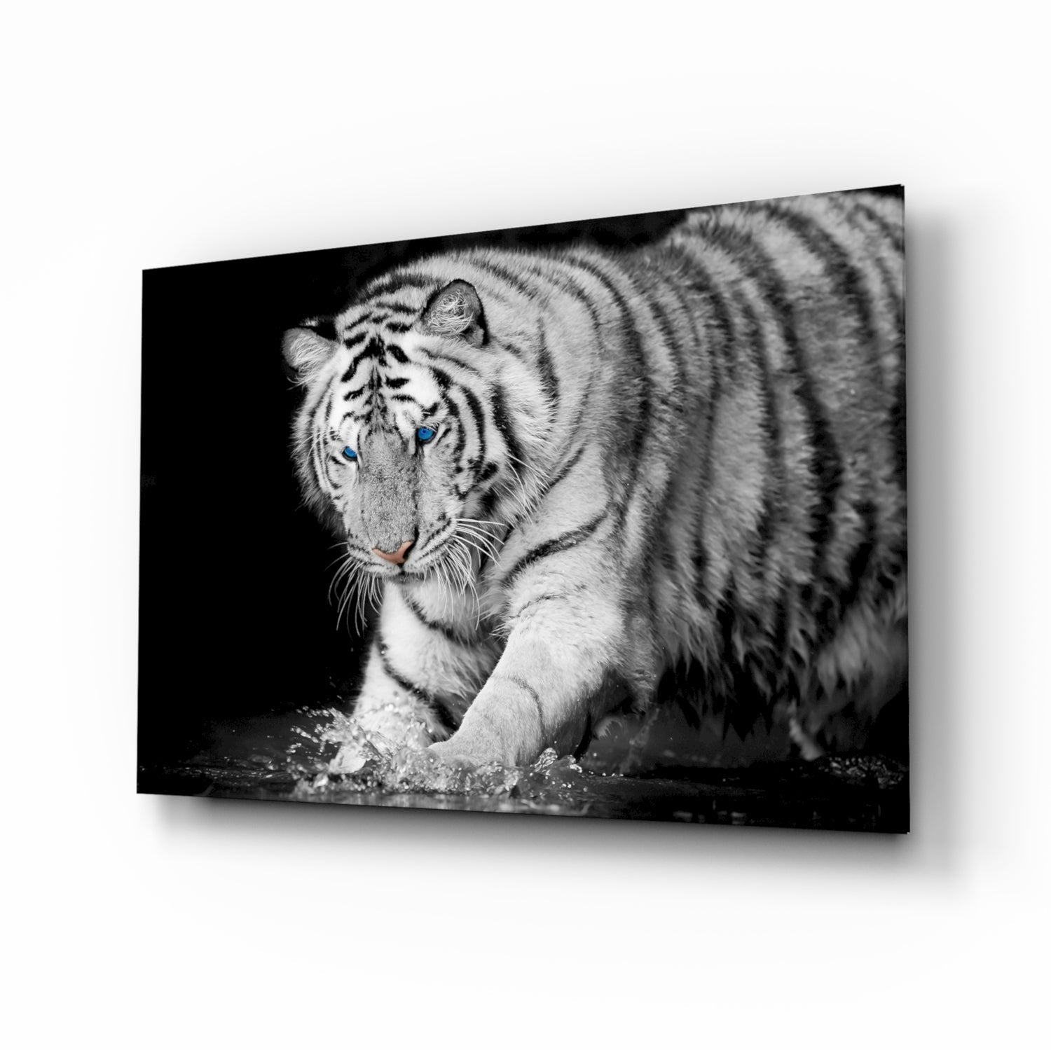 Tiger of the Bengal Glass Wall Art