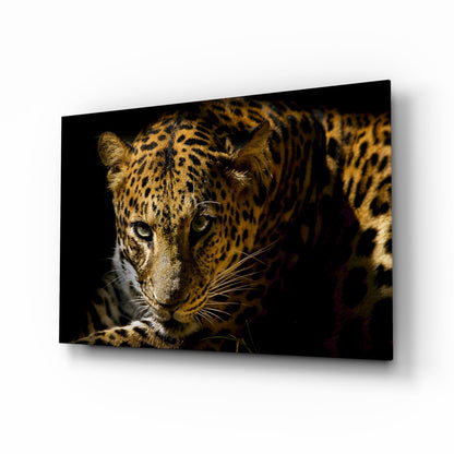 Leopar Glass Wall Art