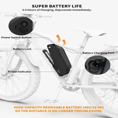 eBike Boys 750W Motor Electric Bike - 48V Battery, 20" Wheels