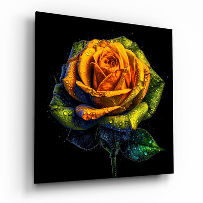 Dewdrop Golden Rose Black Glass Wall Art