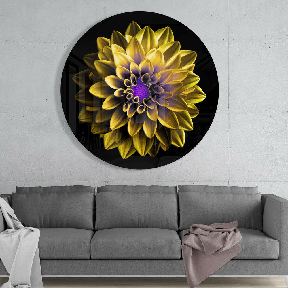 Yellow Dahlia Purple Center Glass Wall Art