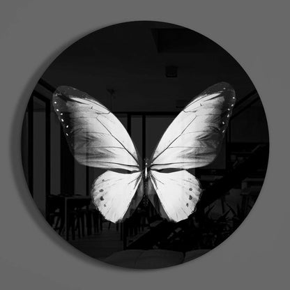 White Butterfly on Black Glass Wall Art