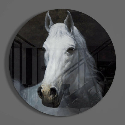 White Horse Portrait Circle Glass Wall Art