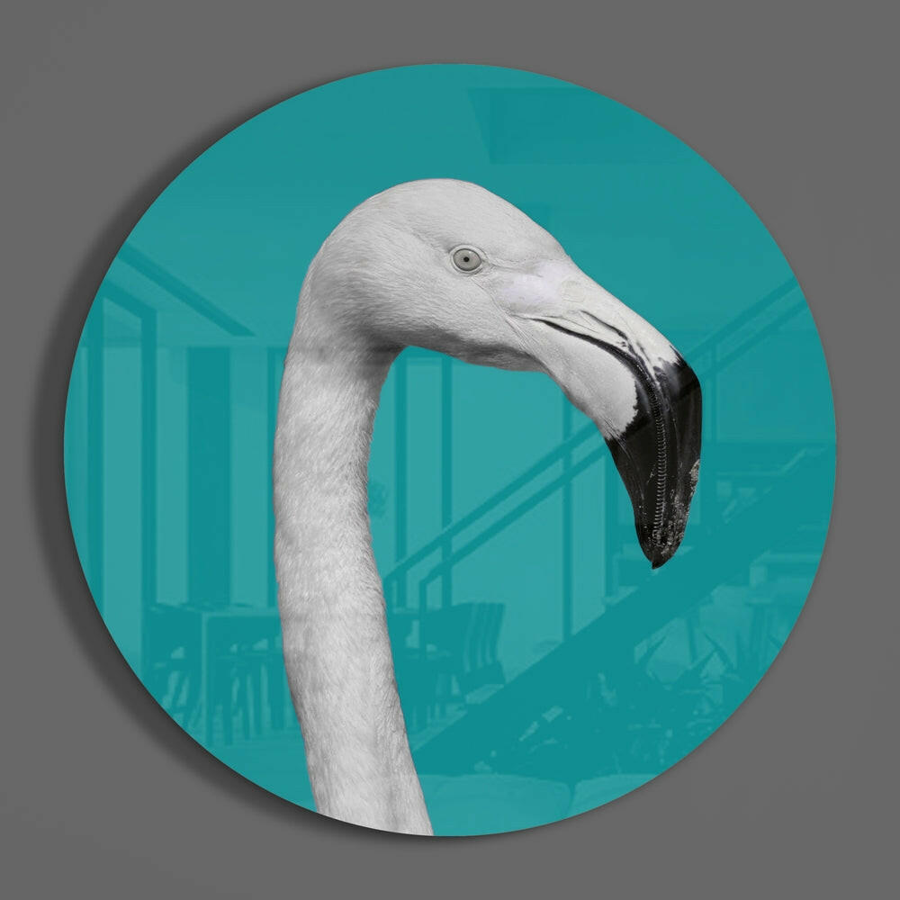 White Flamingo Teal Circle Glass Wall Art