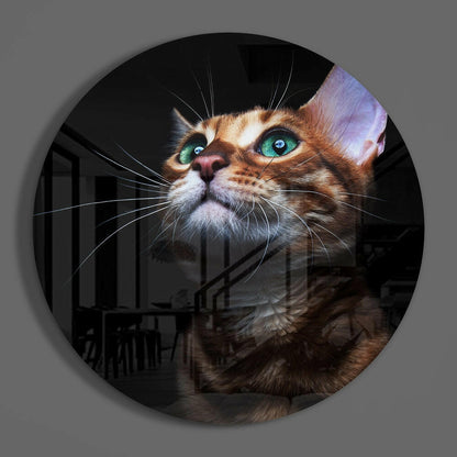 Green Eyed Bengal Cat Round Glass Wall Art