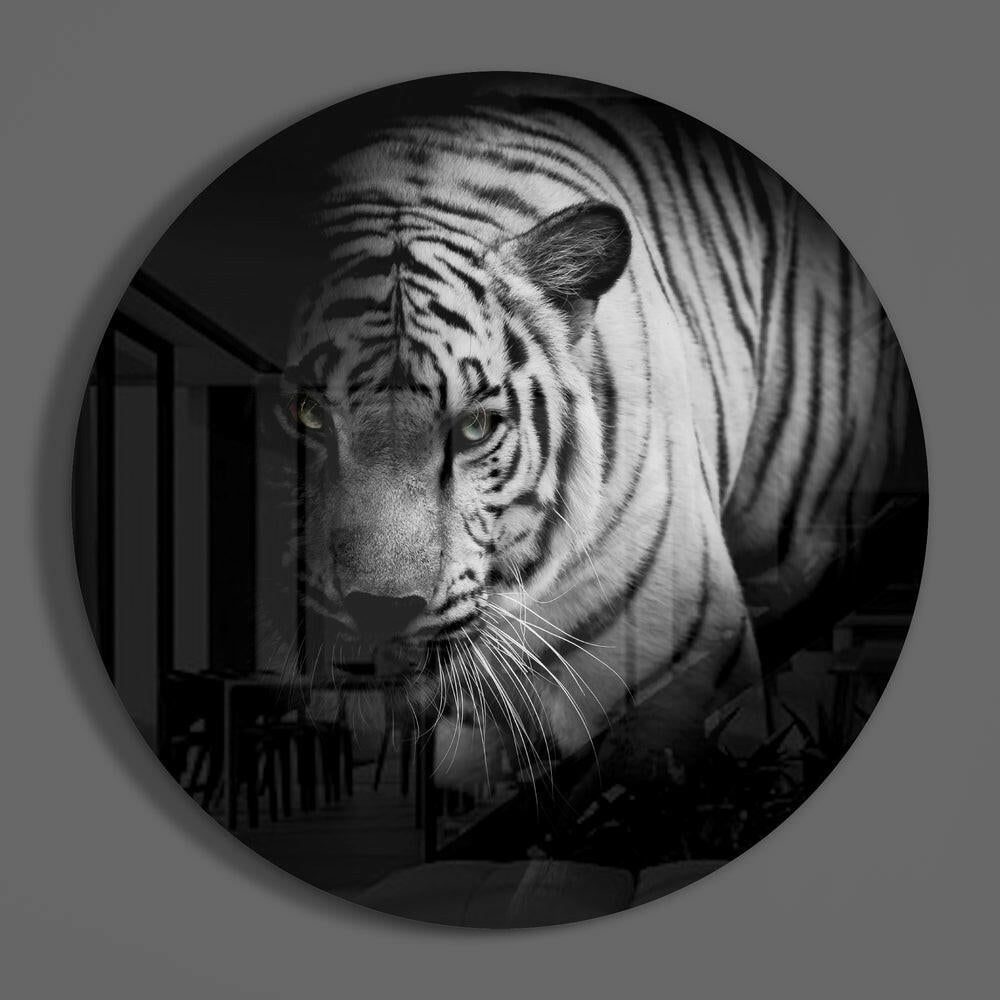 Shadowed White Tiger Glass Wall Art