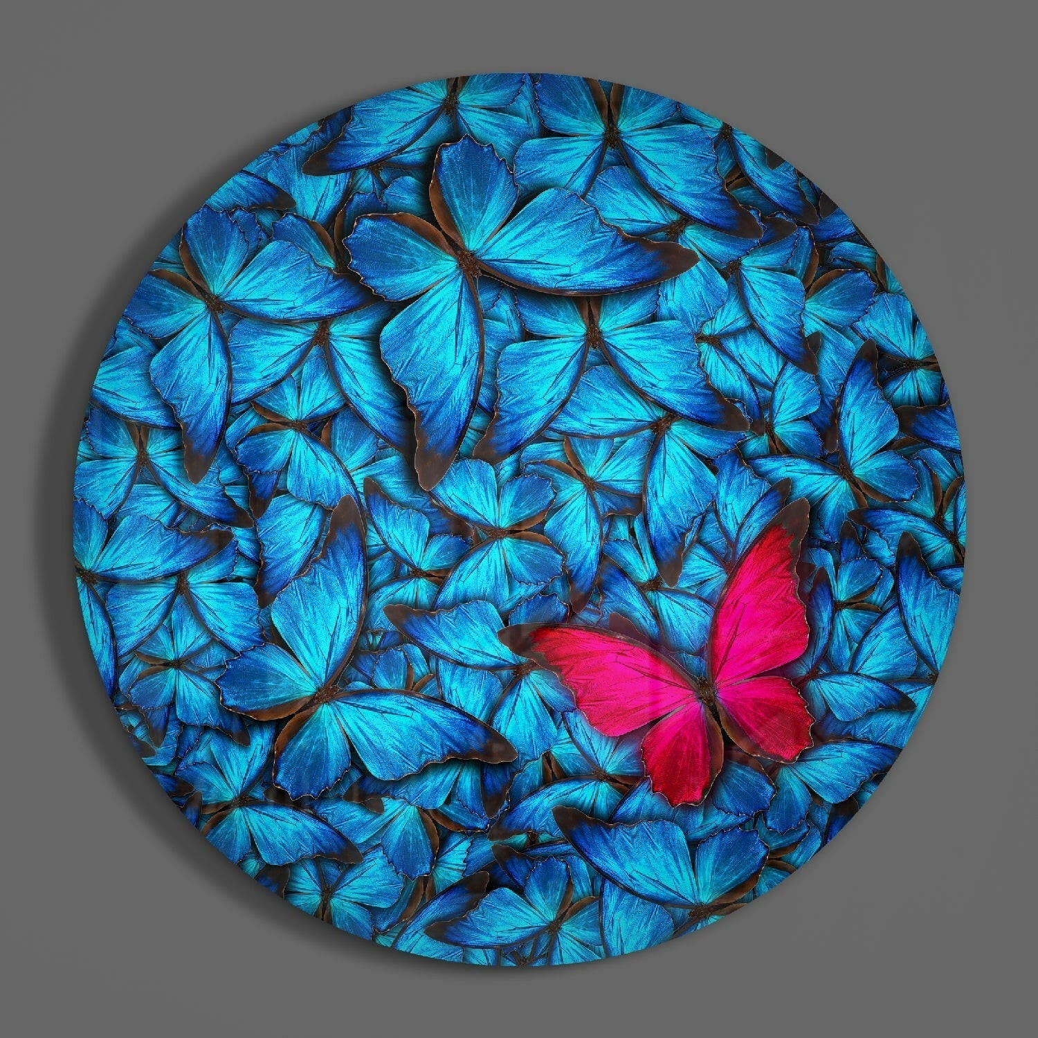 Butterfly&