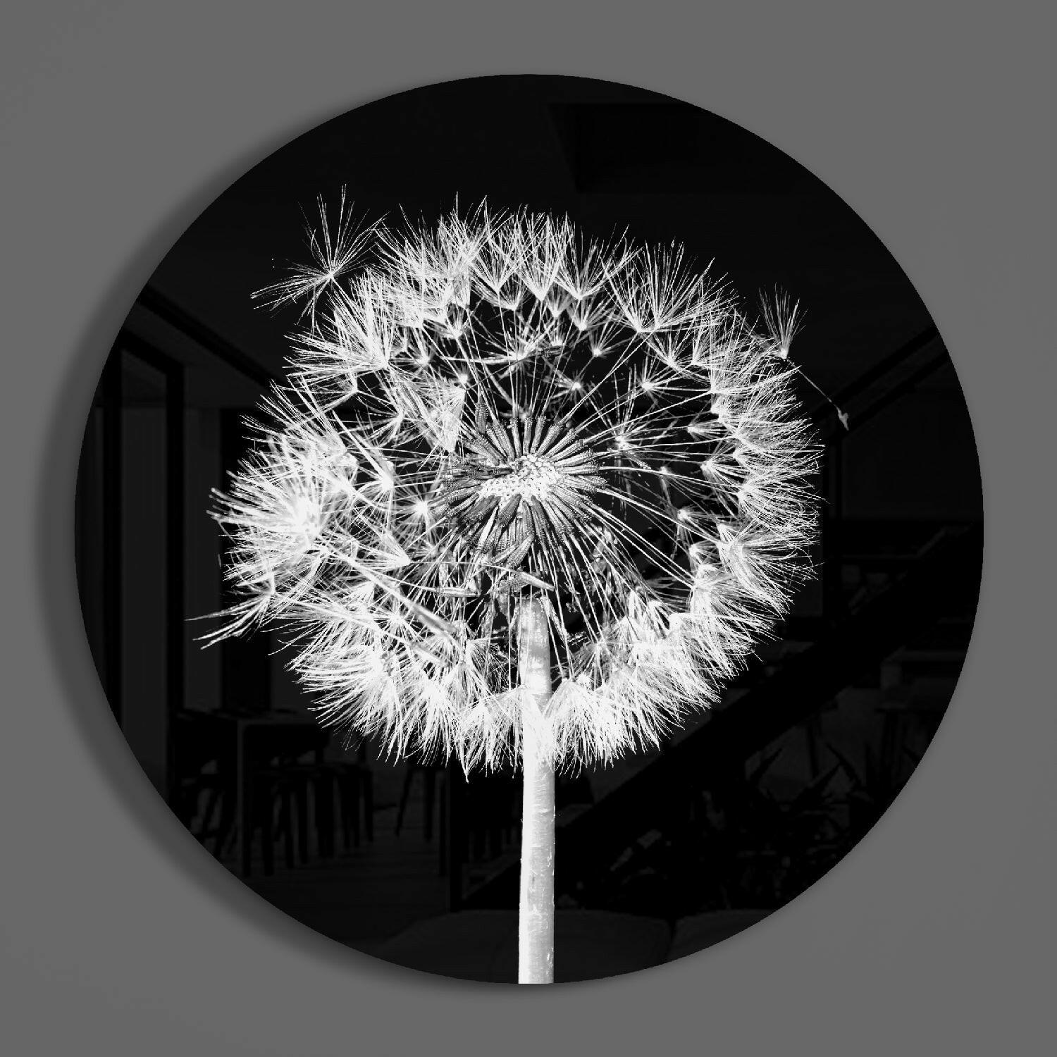 Backlit Dandelion Round Black Glass Wall Art