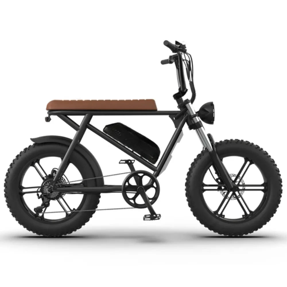 eBike Boys 750W Electric Bike - 48V 13Ah Lithium Battery, Aluminum Frame