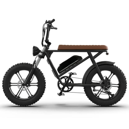 eBike Boys 750W Electric Bike - 48V 13Ah Lithium Battery, Aluminum Frame