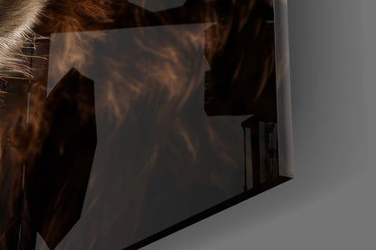Bear, the Wise Man of the Forest Glass Wall Art || Designer Collection
