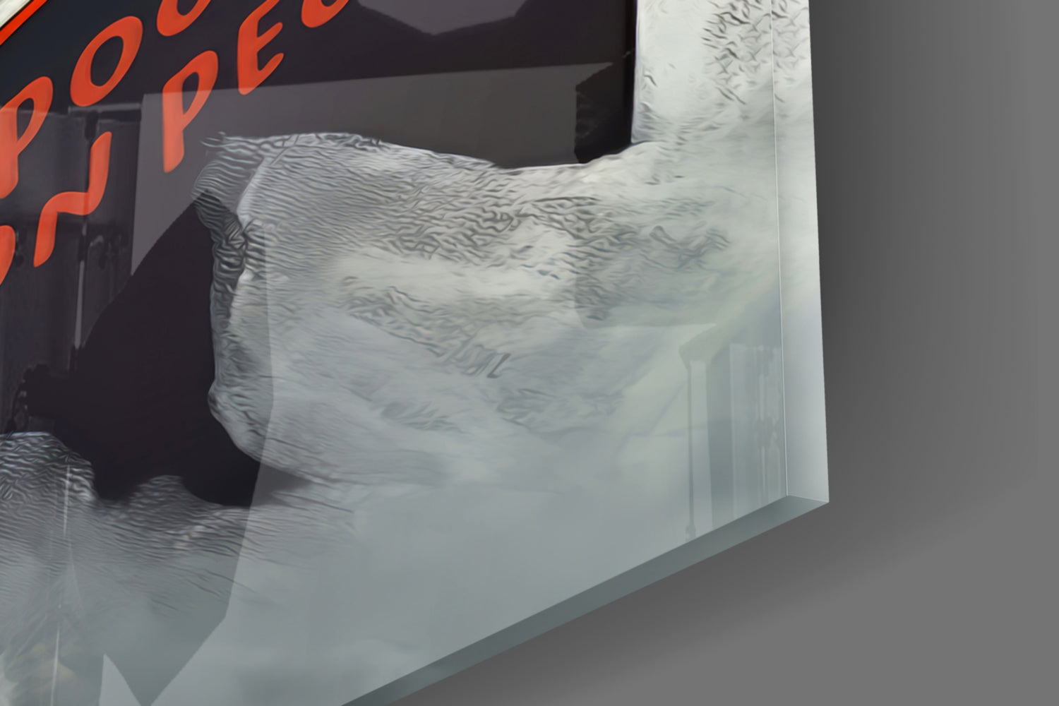 Blue Sky Seagull With Open Book Glass Wall Art