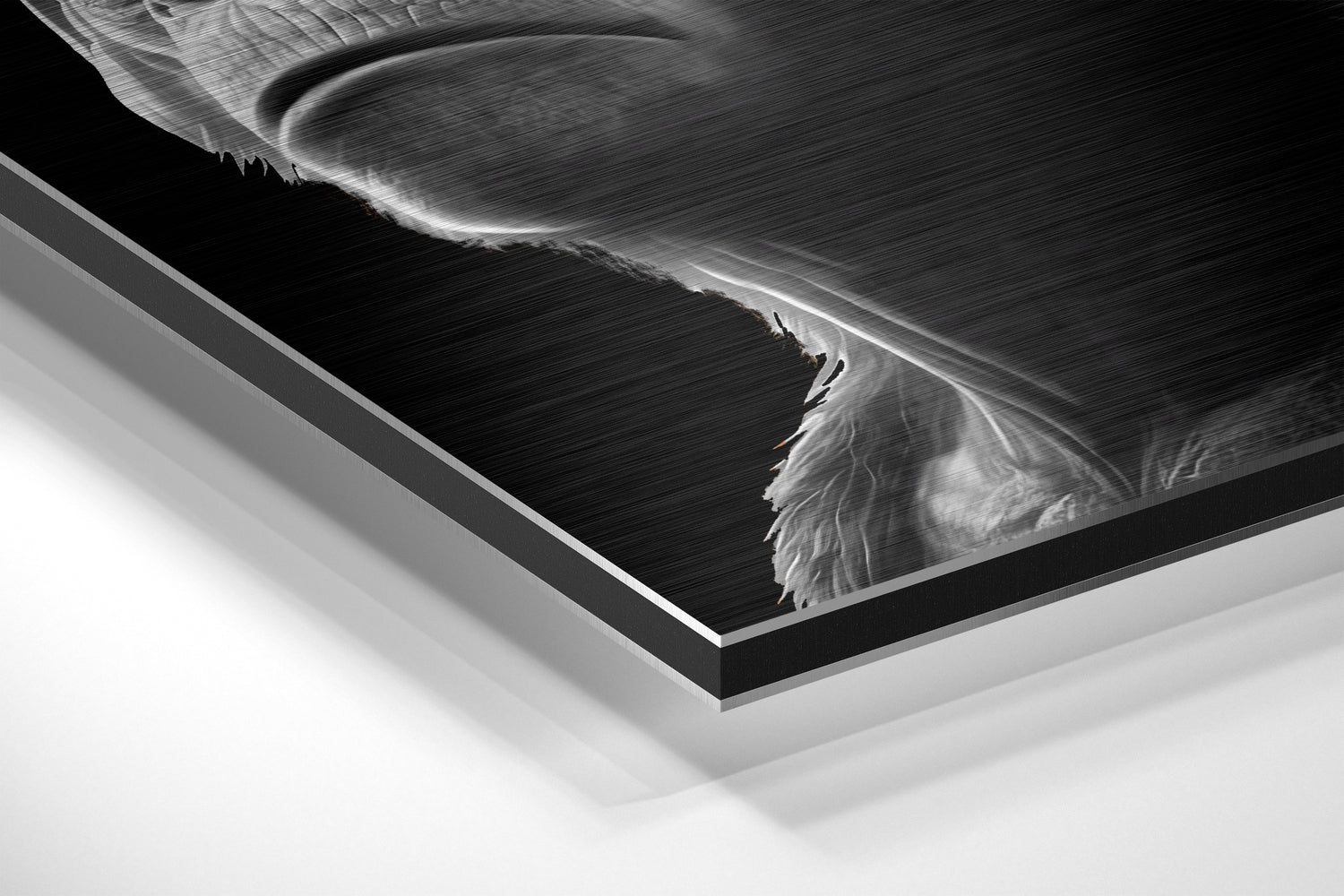Monochrome Trio Orange Bandana Brushed Aluminum Dibond Wall Art