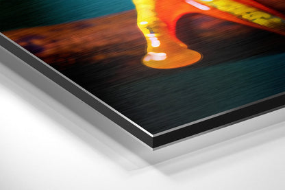 Froglet Brushed Aluminum Dibond Wall Art
