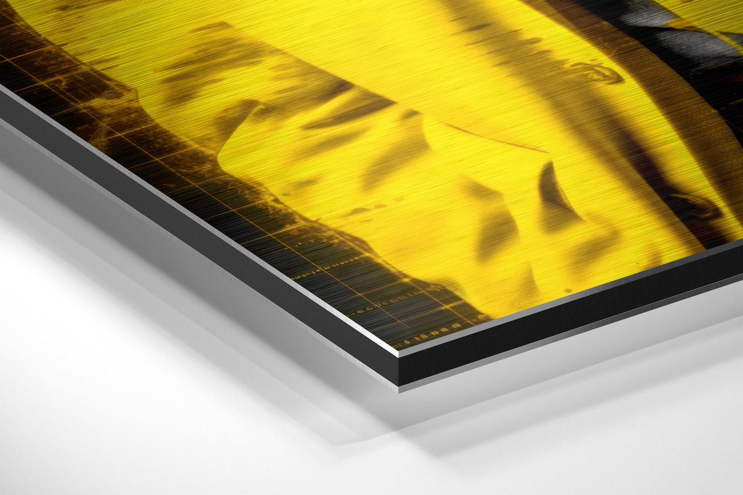 I Told You Genius Scientist Brushed Aluminum Dibond Wall Art