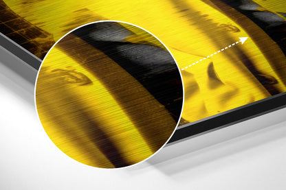 I Told You Genius Scientist Brushed Aluminum Dibond Wall Art