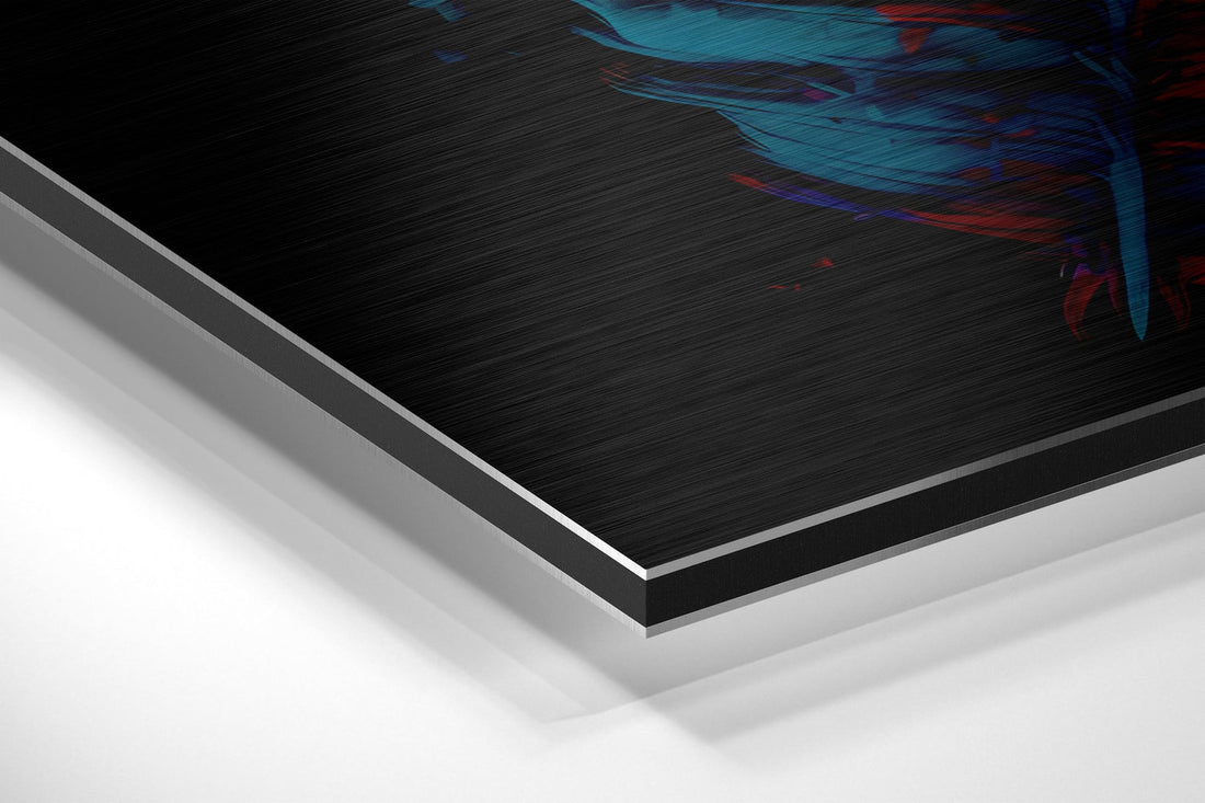 Feather Brushed Aluminum Dibond Wall Art