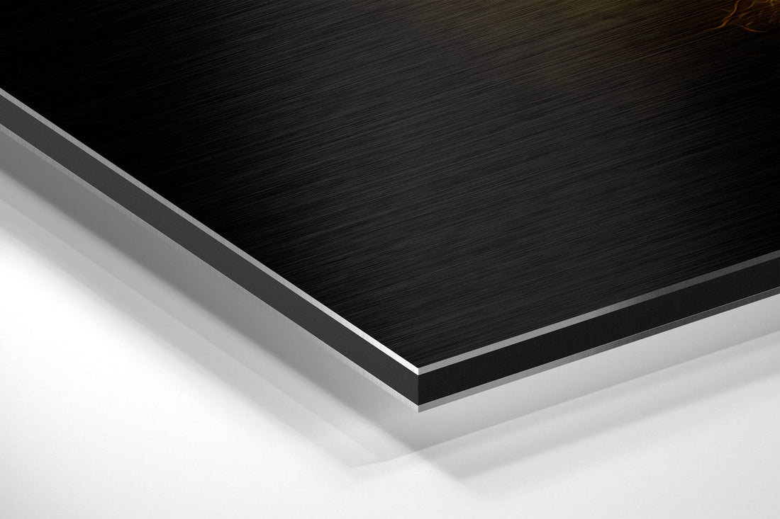 Ying Yang Brushed Aluminum Dibond Wall Art