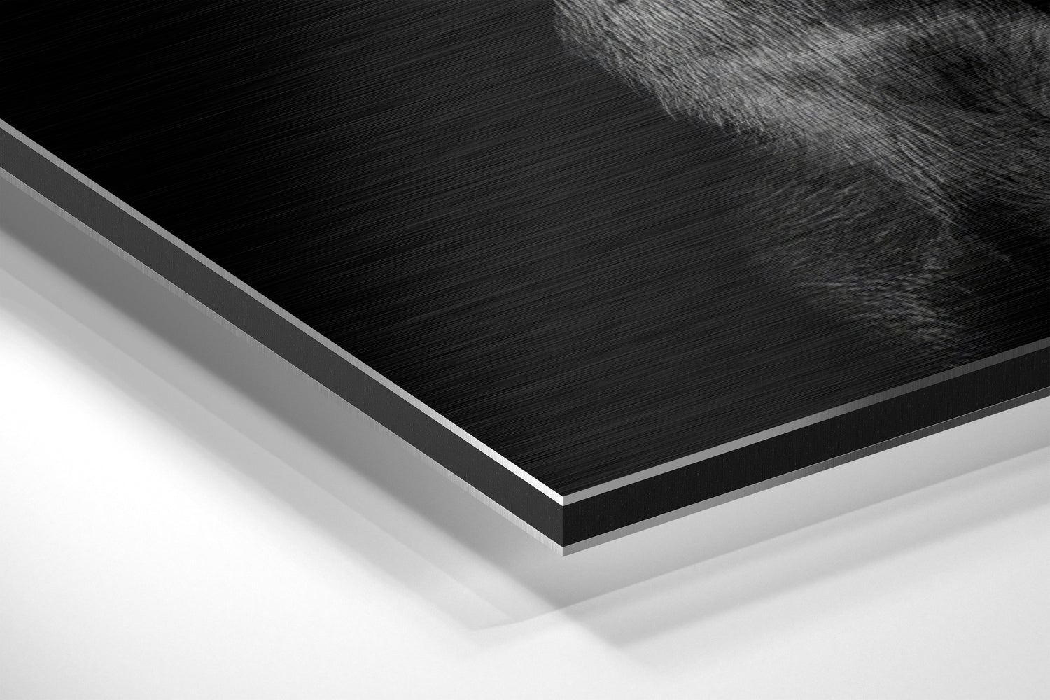Black Doberman With Gold Pistol Brushed Aluminum Dibond Wall Art