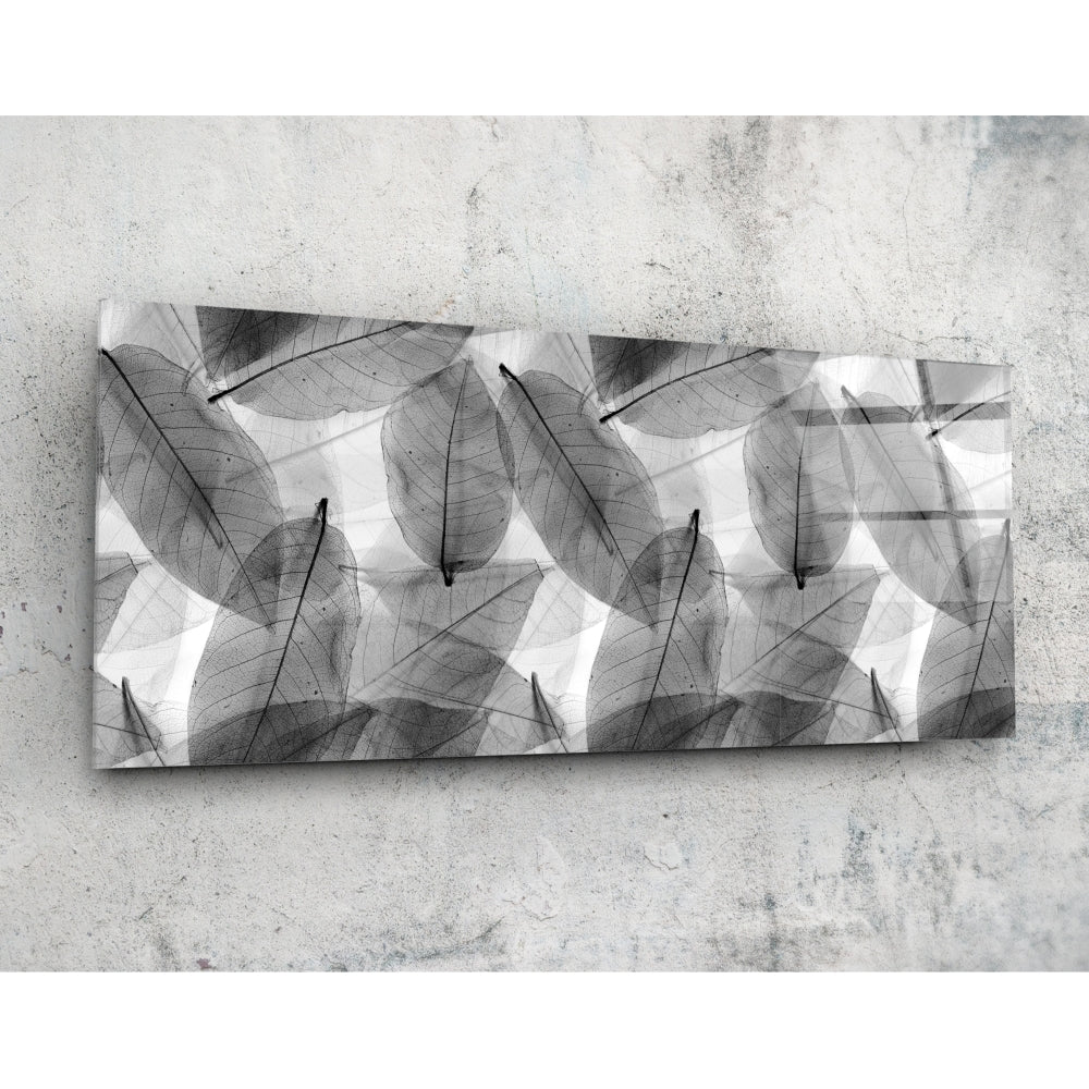 Black - White Leaves Glass Wall Art (36"x14")
