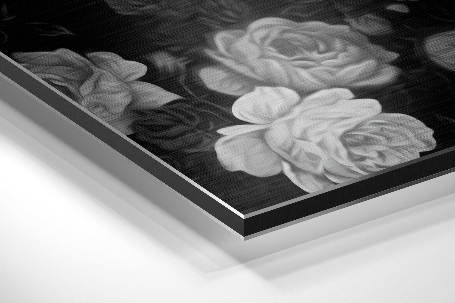 Skull and Roses Brushed Aluminium Dibond Wall Art