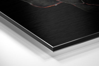 Blossom Brushed Aluminium Dibond Wall Art