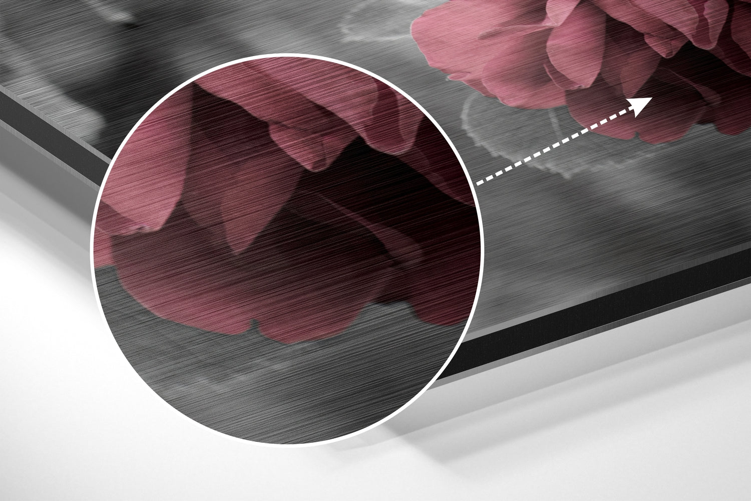 Roses Brushed Aluminium Dibond Wall Art