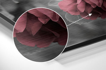 Roses Brushed Aluminium Dibond Wall Art