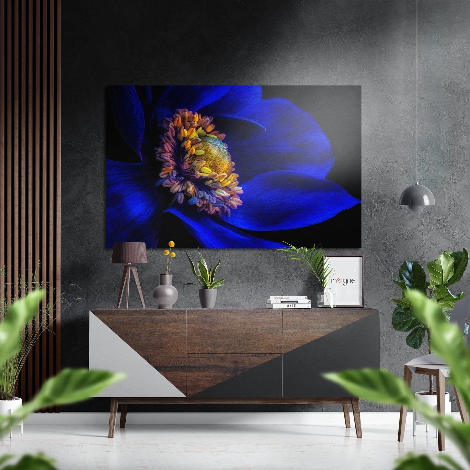 Cobalt Blue Anemone Flower Macro Brushed Aluminium Dibond Wall Art