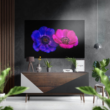 Violet and Pink Anemone Pair Brushed Aluminium Dibond Wall Art