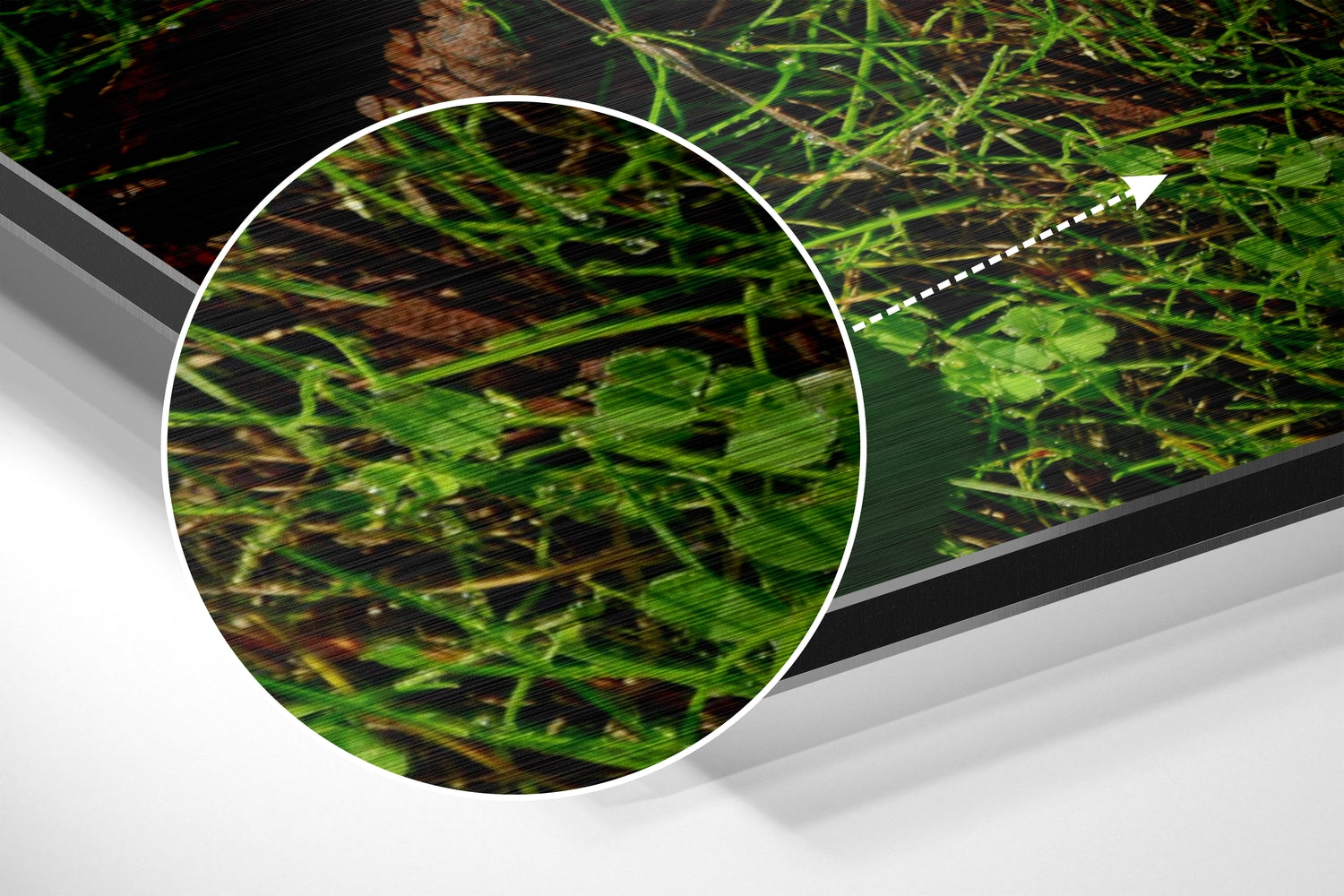 Autumn Leaf Brushed Aluminium Dibond Wall Art