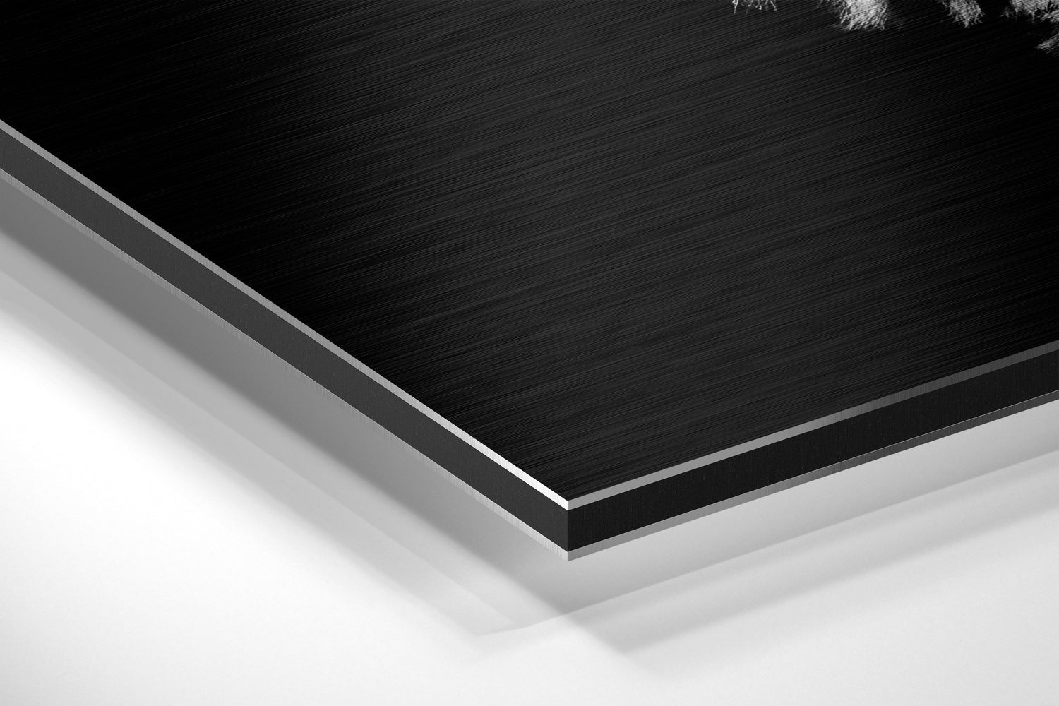 Dark Shadow Zebra Profile Portrait Brushed Aluminium Dibond Wall Art