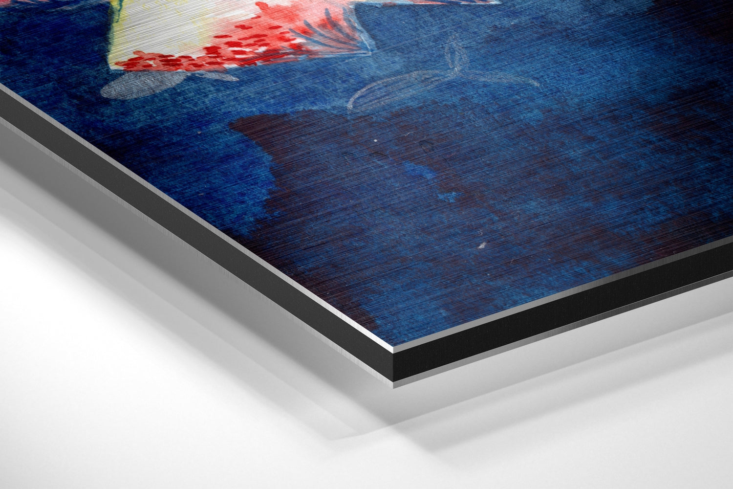 Fish Brushed Aluminium Dibond Wall Art