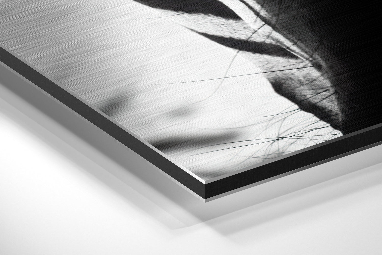 Zebra Face Front Stripes Close Up Brushed Aluminium Dibond Wall Art