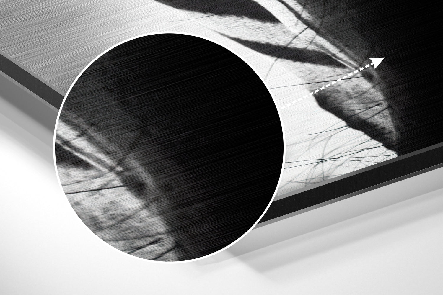 Zebra Face Front Stripes Close Up Brushed Aluminium Dibond Wall Art