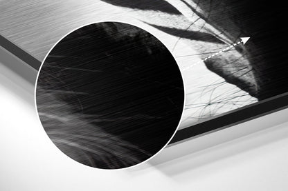 Buffalo Brushed Aluminium Dibond Wall Art