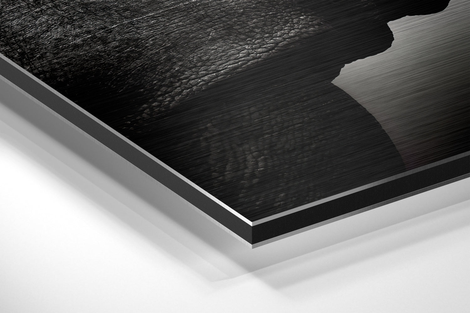 Rhino Brushed Aluminium Dibond Wall Art