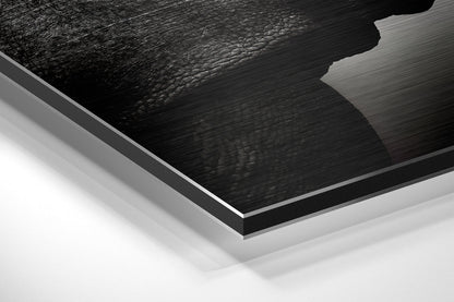 Rhino Brushed Aluminium Dibond Wall Art
