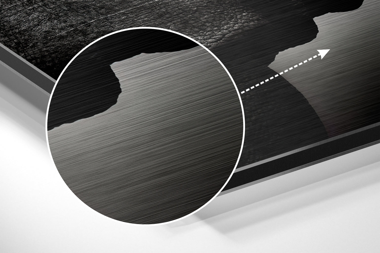 Rhino Brushed Aluminium Dibond Wall Art
