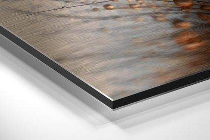 Dandelions Brushed Aluminium Dibond Wall Art