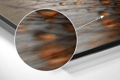 Dandelions Brushed Aluminium Dibond Wall Art