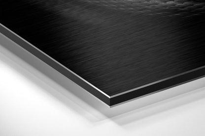 Snake Brushed Aluminium Dibond Wall Art